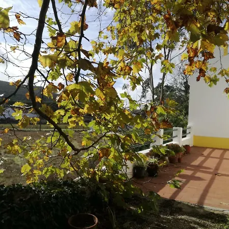 Montejunto - Casa Do Platano *