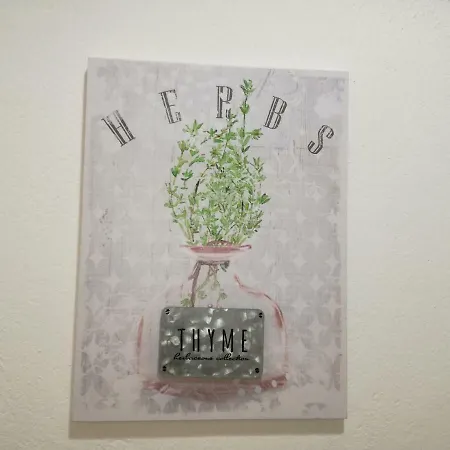 Montejunto - Casa Do Platano 別荘 *