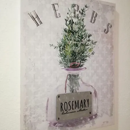 Montejunto - Casa Do Platano 別荘 *